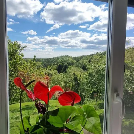 Kunterbunt Lägenhet